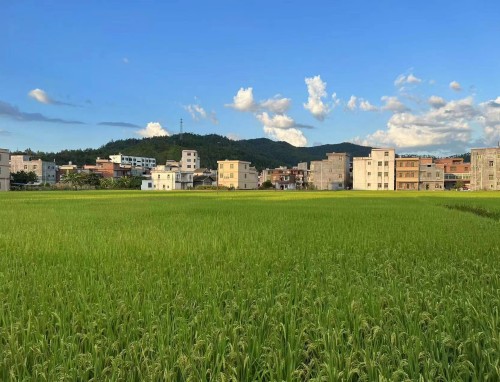 阿森纳VS巴黎圣日耳曼直播_阿森纳VS巴黎圣日耳曼免费直播在线直播 阿森纳VS巴黎圣日耳曼直播_阿森纳VS巴黎圣日耳曼免费直播在线直播